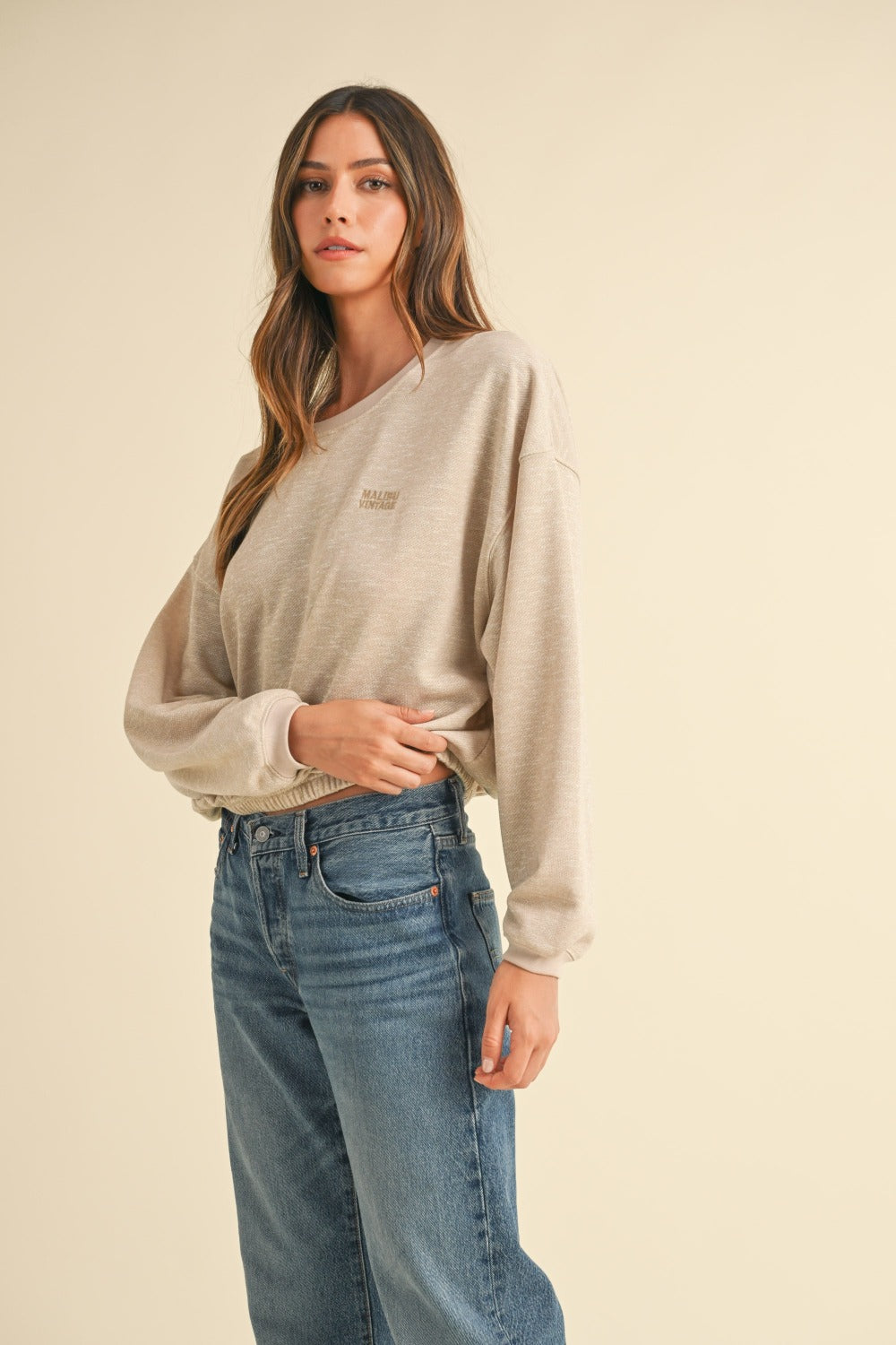 Echoes of Tranquility Neck Letter Embroidery Crop Sweatshirt